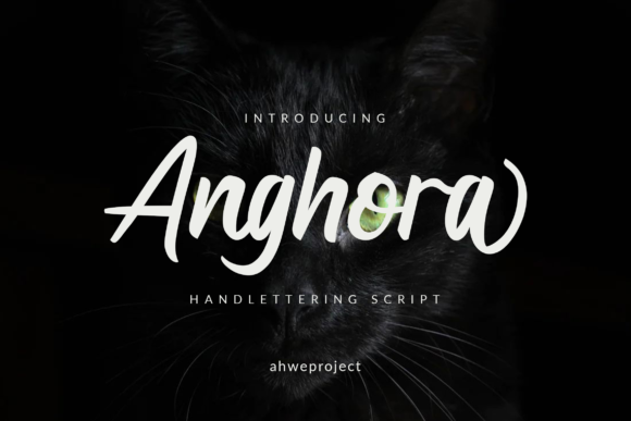 Anghora: A Script Font That Adds Personality to Campaigns