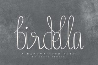 Birdella: The Font That Elevates Your Brand