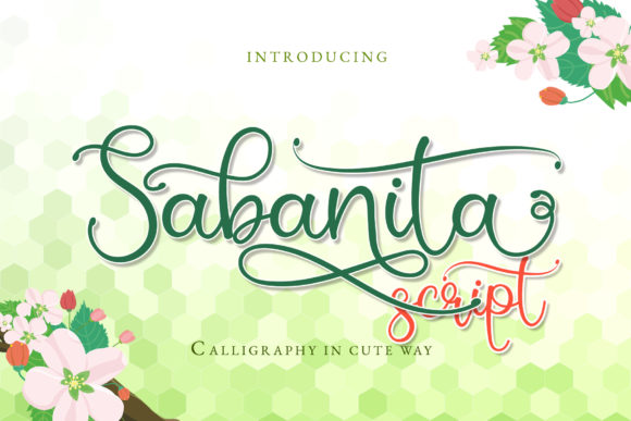 Elevate Your Brand with the Sabanita Font