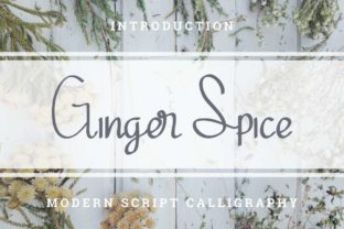 Ginger Spice Font Review for Real-World Design