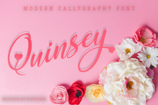Quinsey: A Script Font That Elevates Campaign Design